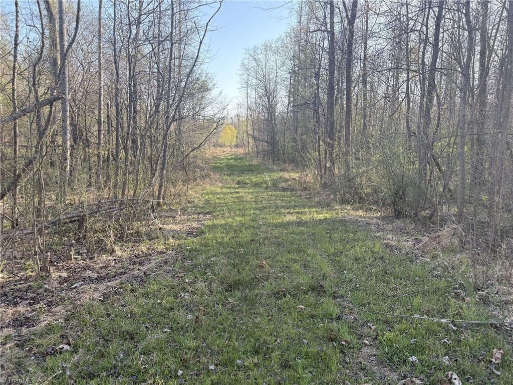 Unimproved Land at 1500 Wiley Lewis Road, Greensboro NC 27406, Greensboro, photo 17 of 28