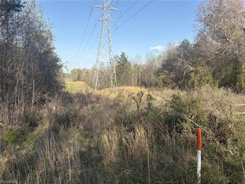Unimproved Land at 1500 Wiley Lewis Road, Greensboro NC 27406, Greensboro, photo 9 of 28