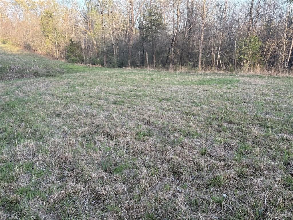 Unimproved Land at 1500 Wiley Lewis Road, Greensboro NC 27406, Greensboro, photo 24 of 28
