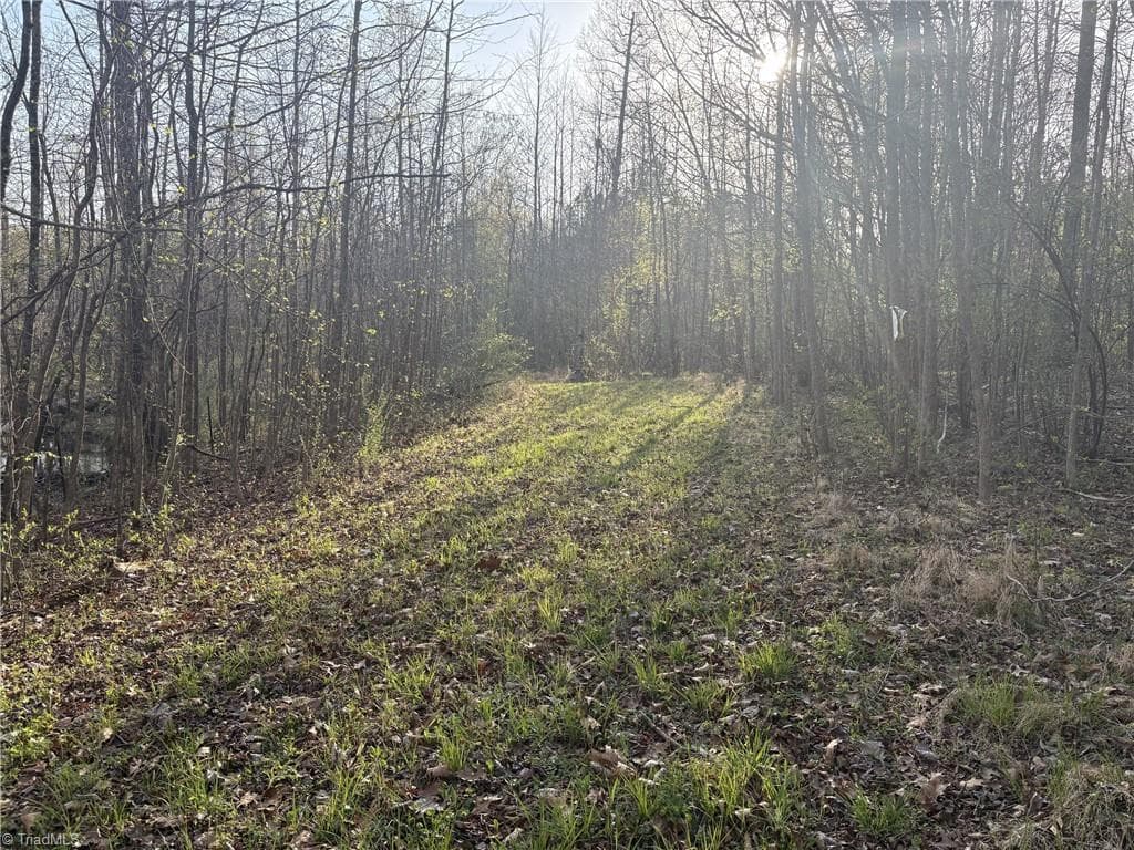 Unimproved Land at 1500 Wiley Lewis Road, Greensboro NC 27406, Greensboro, photo 14 of 28