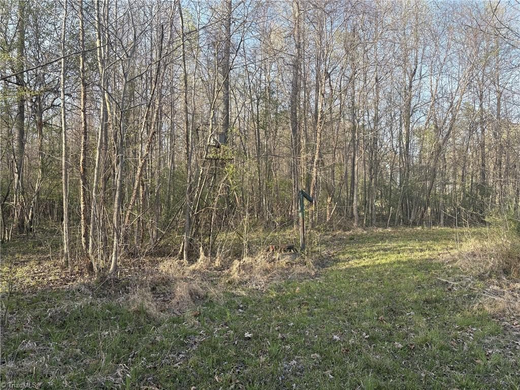 Unimproved Land at 1500 Wiley Lewis Road, Greensboro NC 27406, Greensboro, photo 18 of 28
