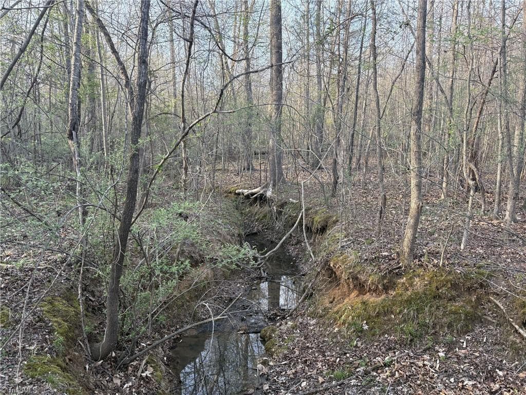 Unimproved Land at 1500 Wiley Lewis Road, Greensboro NC 27406, Greensboro, photo 19 of 28