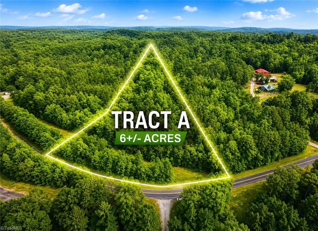 TBD TRACT A Bellview Road, Robbins NC 27325