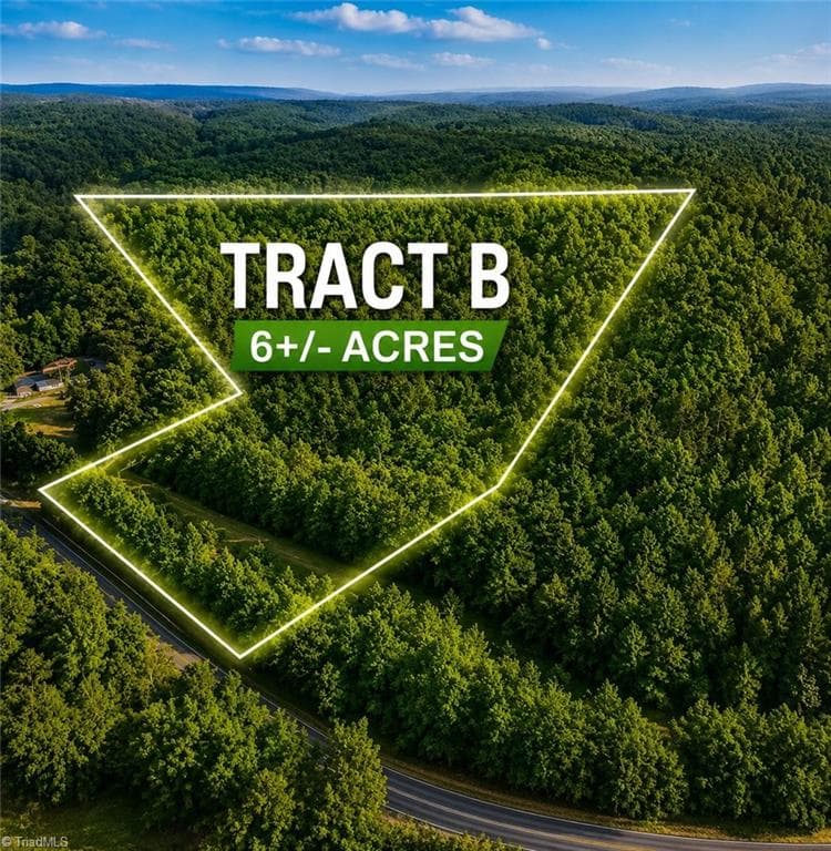 TBD TRACT B Bellview Road, Robbins NC 27325