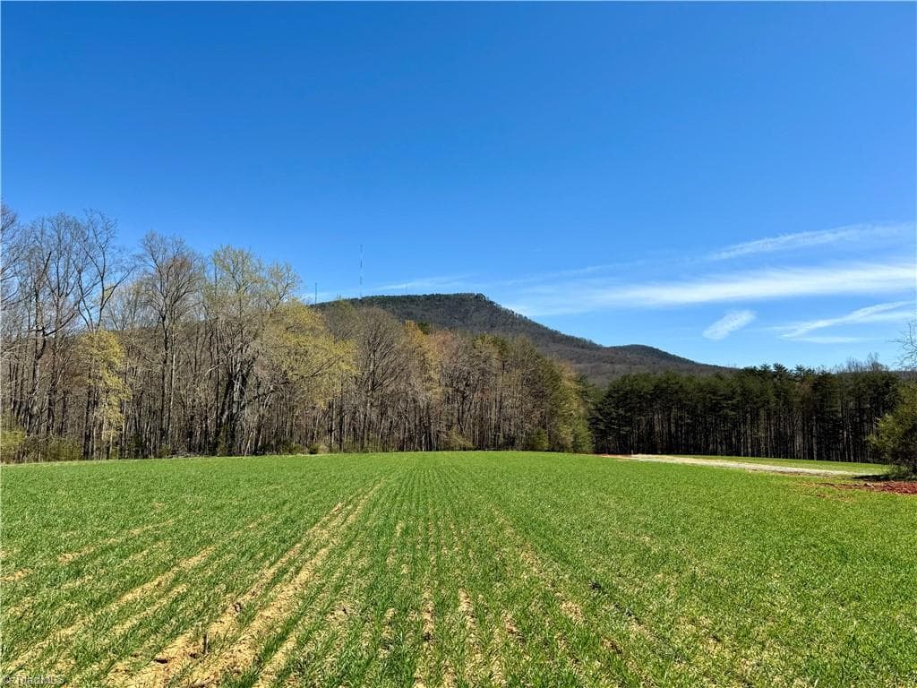 Unimproved Land at 6 Old Mill Road, Pinnacle NC 27043, photo 2 of 29