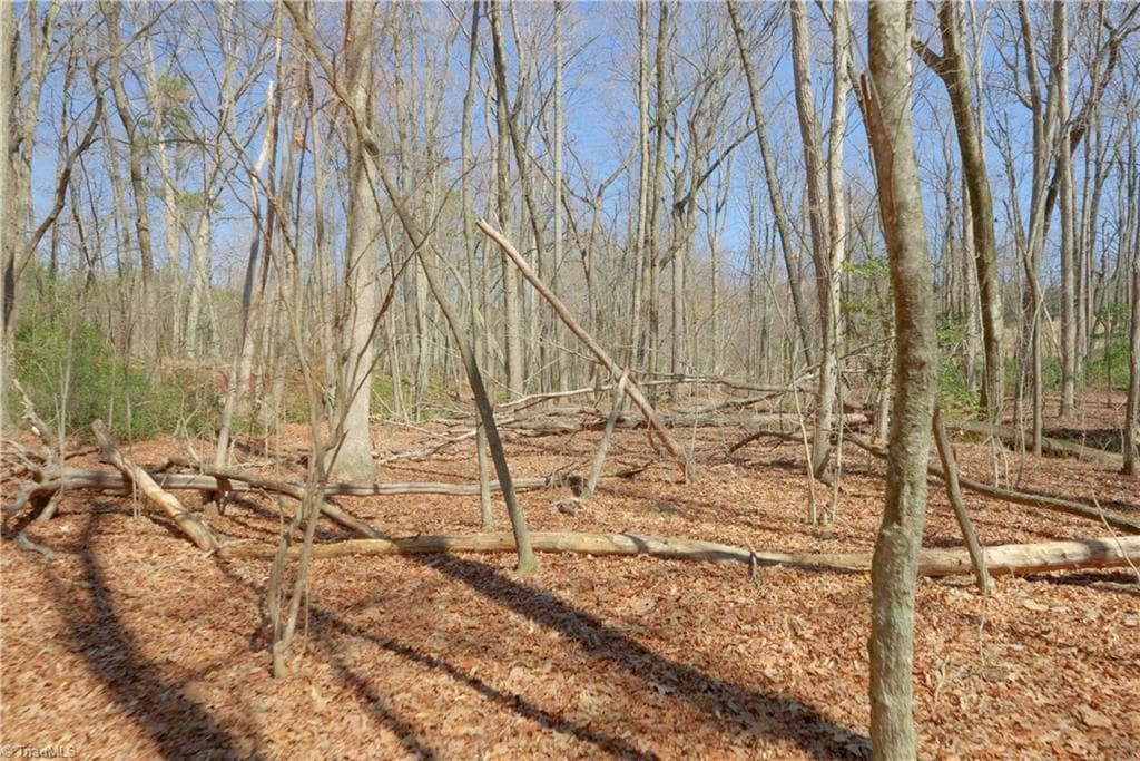 Unimproved Land at 6 Old Mill Road, Pinnacle NC 27043, photo 13 of 29