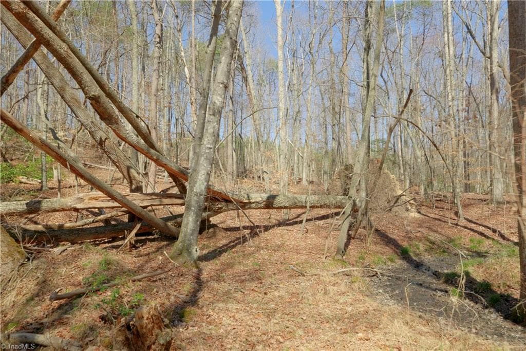 Unimproved Land at 6 Old Mill Road, Pinnacle NC 27043, photo 12 of 29