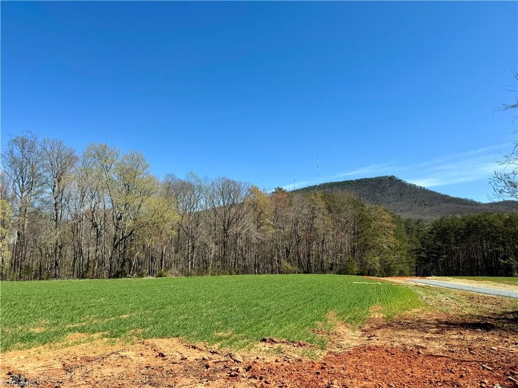 Unimproved Land at 6 Old Mill Road, Pinnacle NC 27043, photo 3 of 29