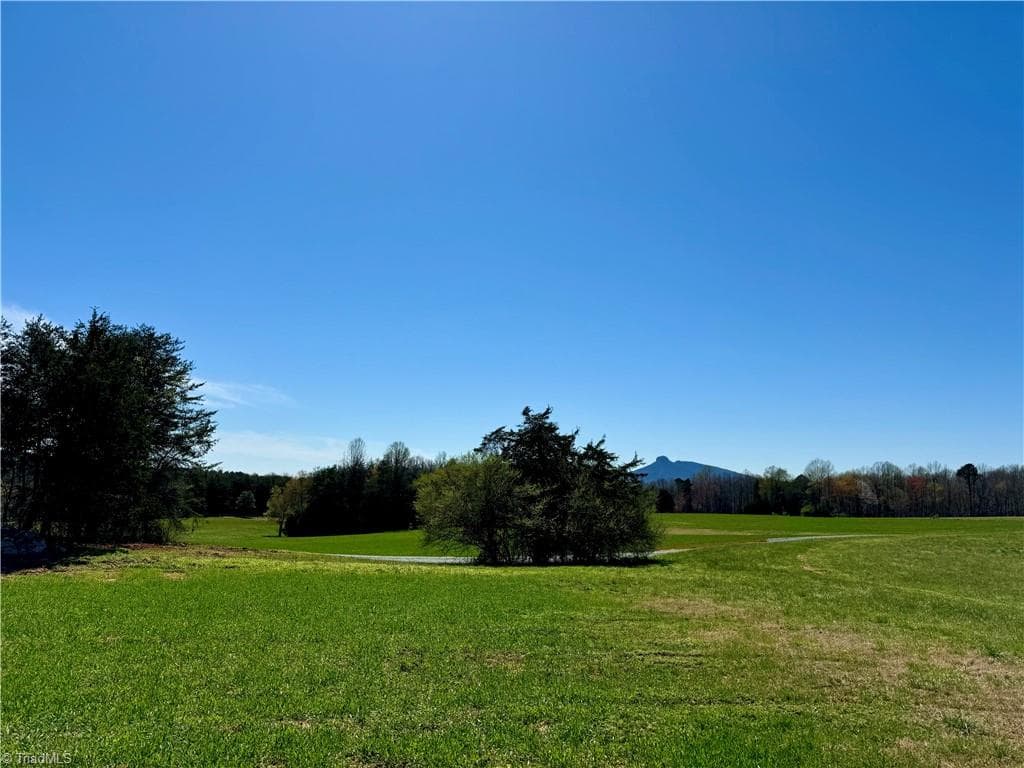 Unimproved Land at 6 Old Mill Road, Pinnacle NC 27043, photo 5 of 29