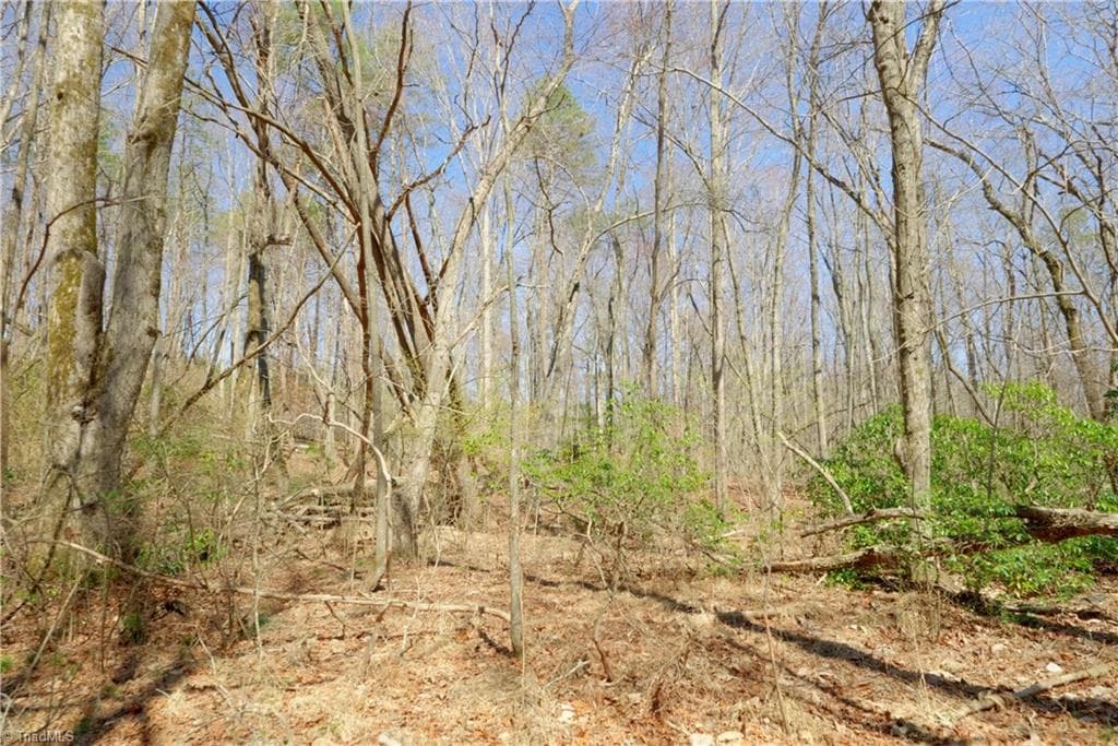 Unimproved Land at 6 Old Mill Road, Pinnacle NC 27043, photo 10 of 29