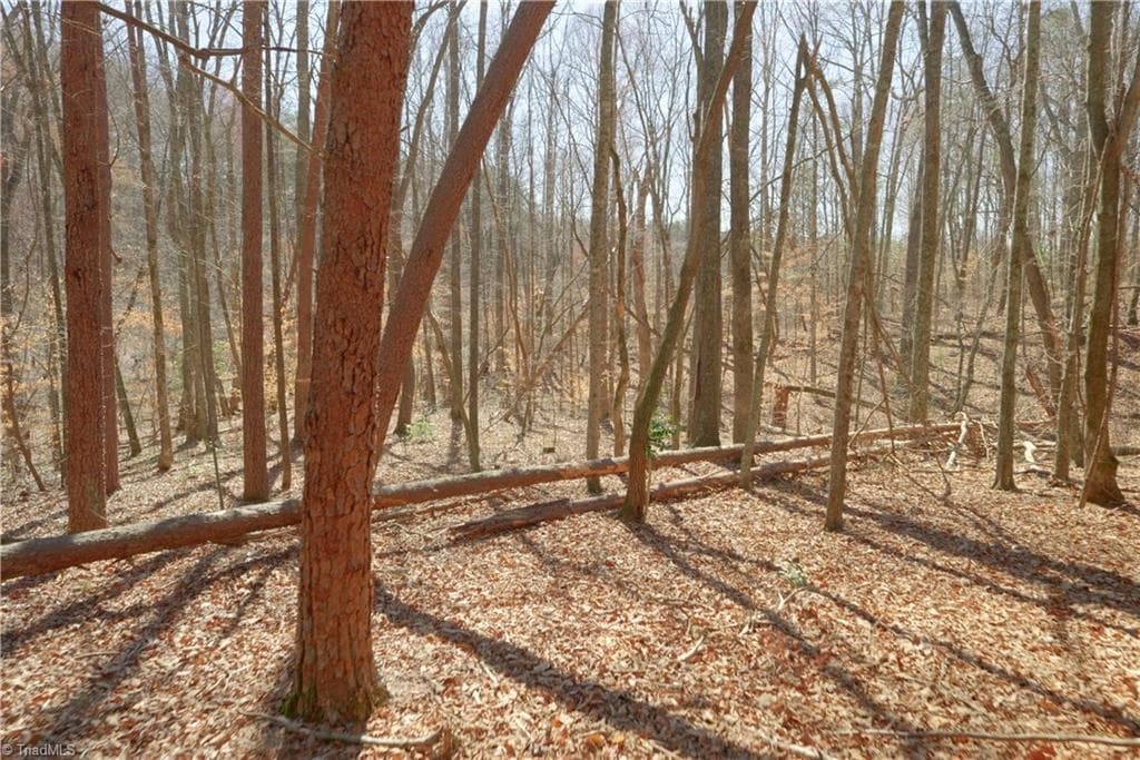 Unimproved Land at 6 Old Mill Road, Pinnacle NC 27043, photo 14 of 29