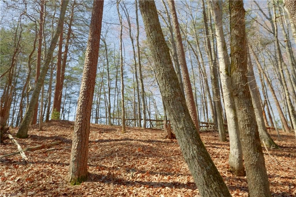 Unimproved Land at 6 Old Mill Road, Pinnacle NC 27043, photo 15 of 29