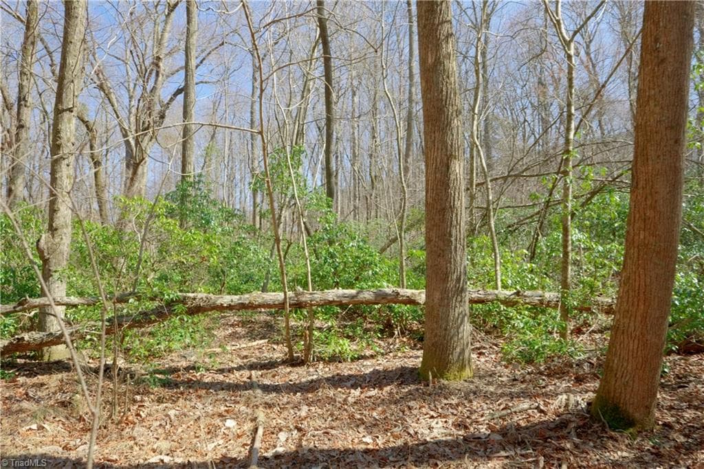 Unimproved Land at 6 Old Mill Road, Pinnacle NC 27043, photo 11 of 29