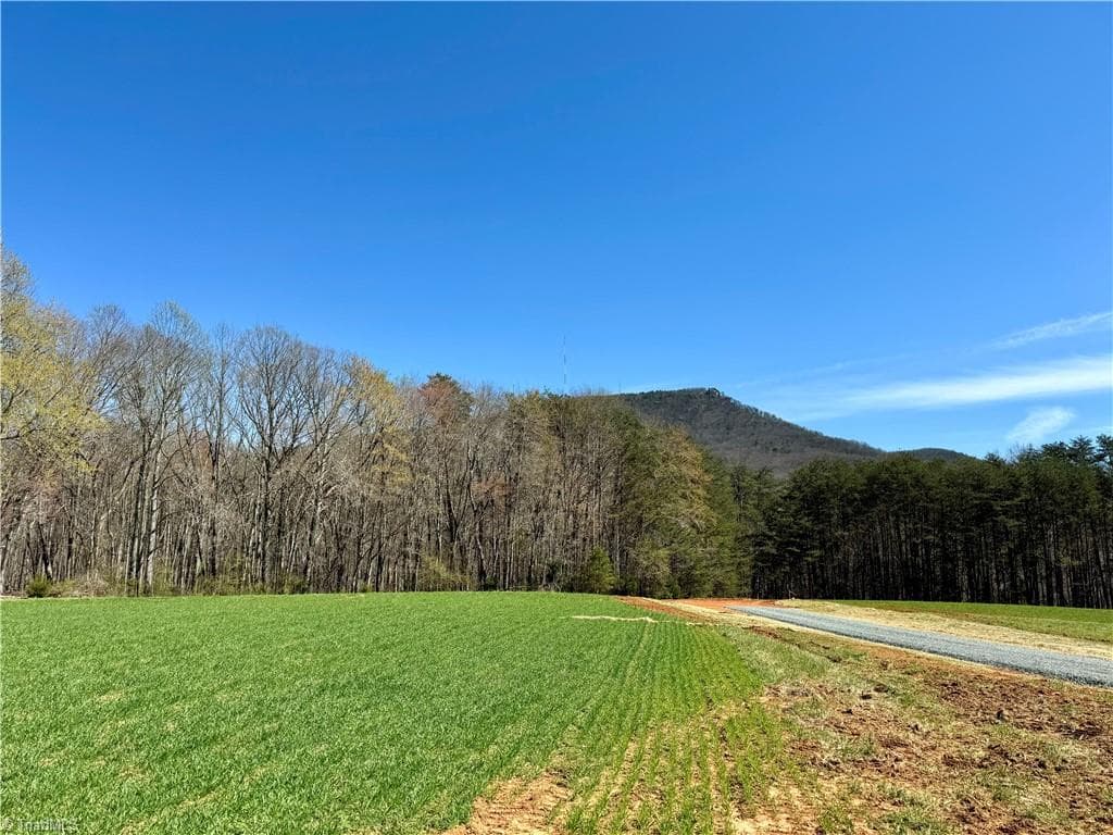 Unimproved Land at 6 Old Mill Road, Pinnacle NC 27043, photo 4 of 29