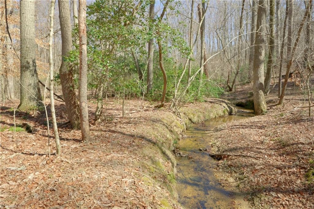 Unimproved Land at 6 Old Mill Road, Pinnacle NC 27043, photo 8 of 29