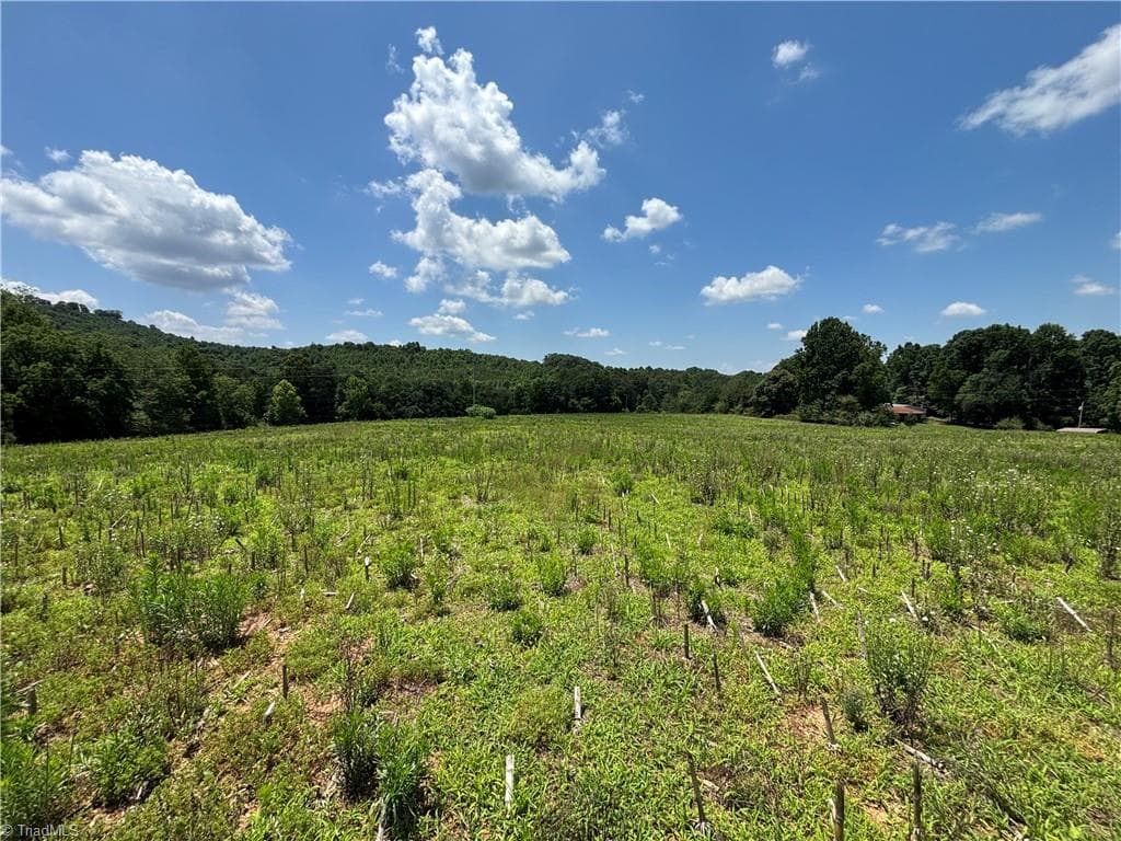 Unimproved Land at 00 Brookhaven Road, Statesville NC 28625, Statesville, photo 6 of 14
