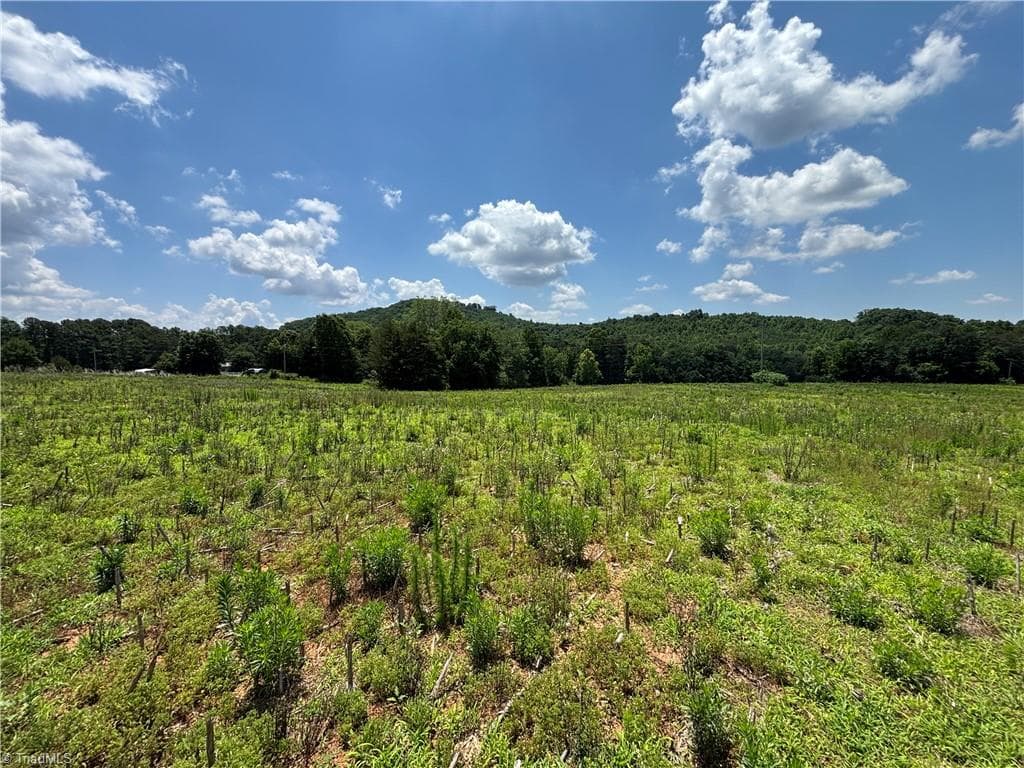 Unimproved Land at 00 Brookhaven Road, Statesville NC 28625, Statesville, photo 7 of 14