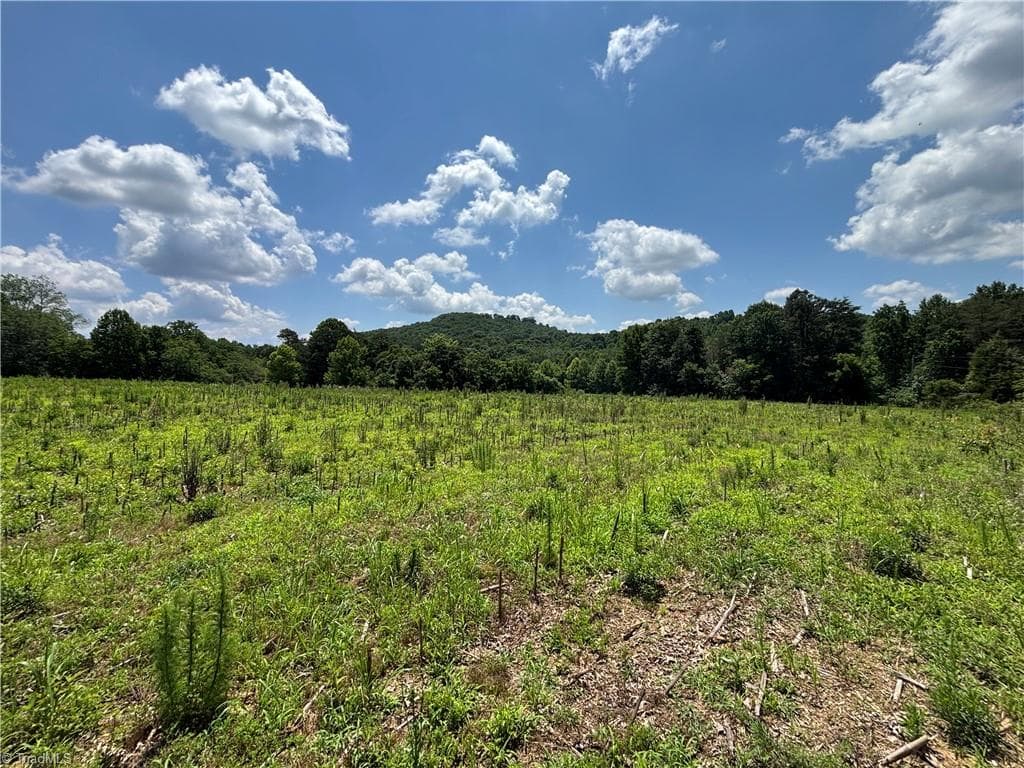 Unimproved Land at 00 Brookhaven Road, Statesville NC 28625, Statesville, photo 4 of 14