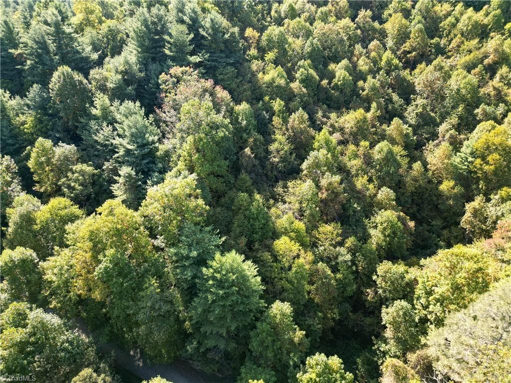 Unimproved Land at 00 Orchard Road, Deep Gap NC 28618, photo 13 of 19