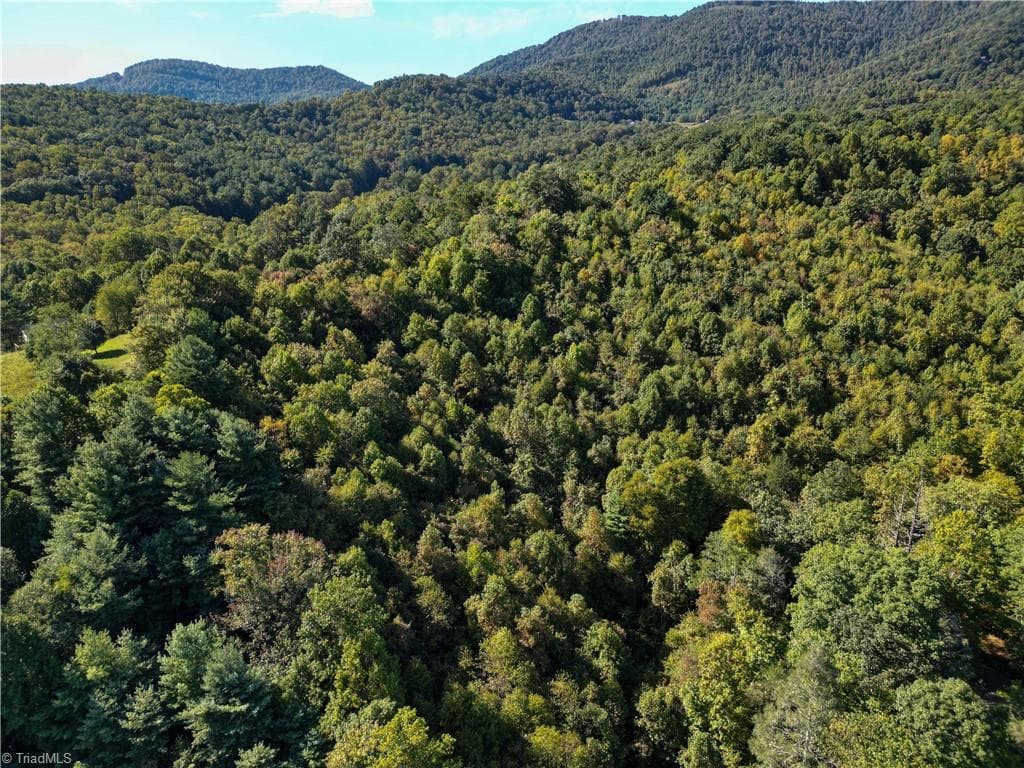 Unimproved Land at 00 Orchard Road, Deep Gap NC 28618, photo 10 of 19