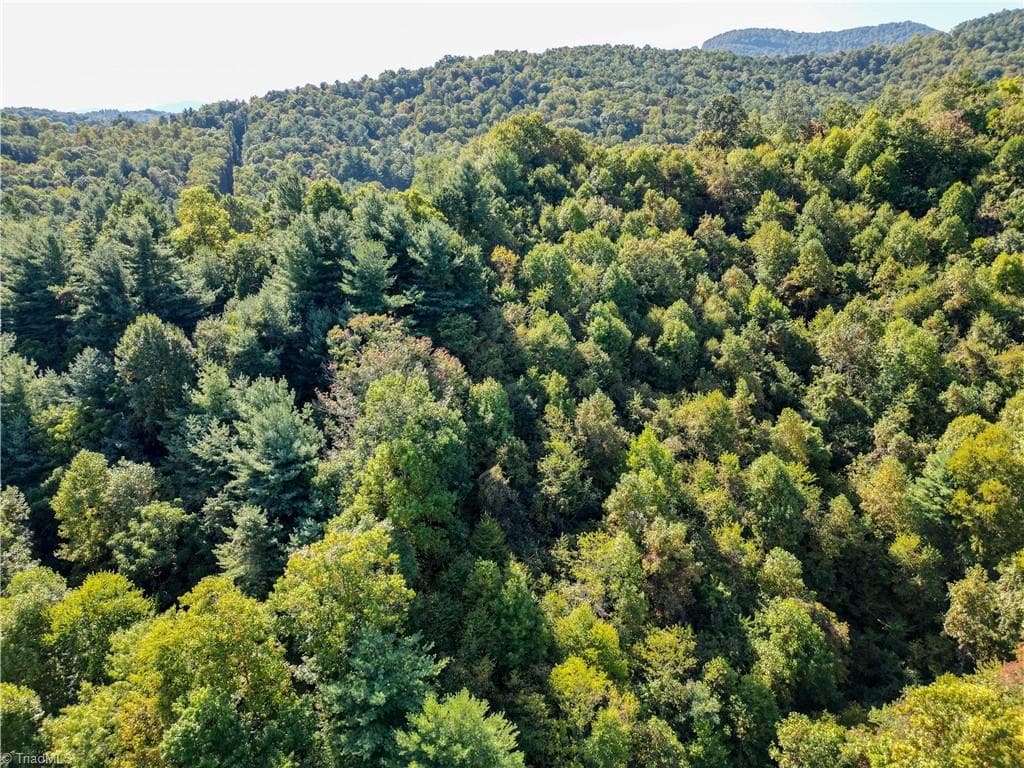 Unimproved Land at 00 Orchard Road, Deep Gap NC 28618, photo 14 of 19