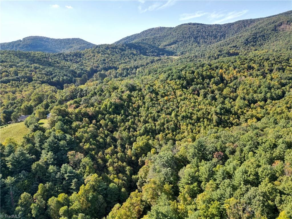 Unimproved Land at 00 Orchard Road, Deep Gap NC 28618, photo 15 of 19