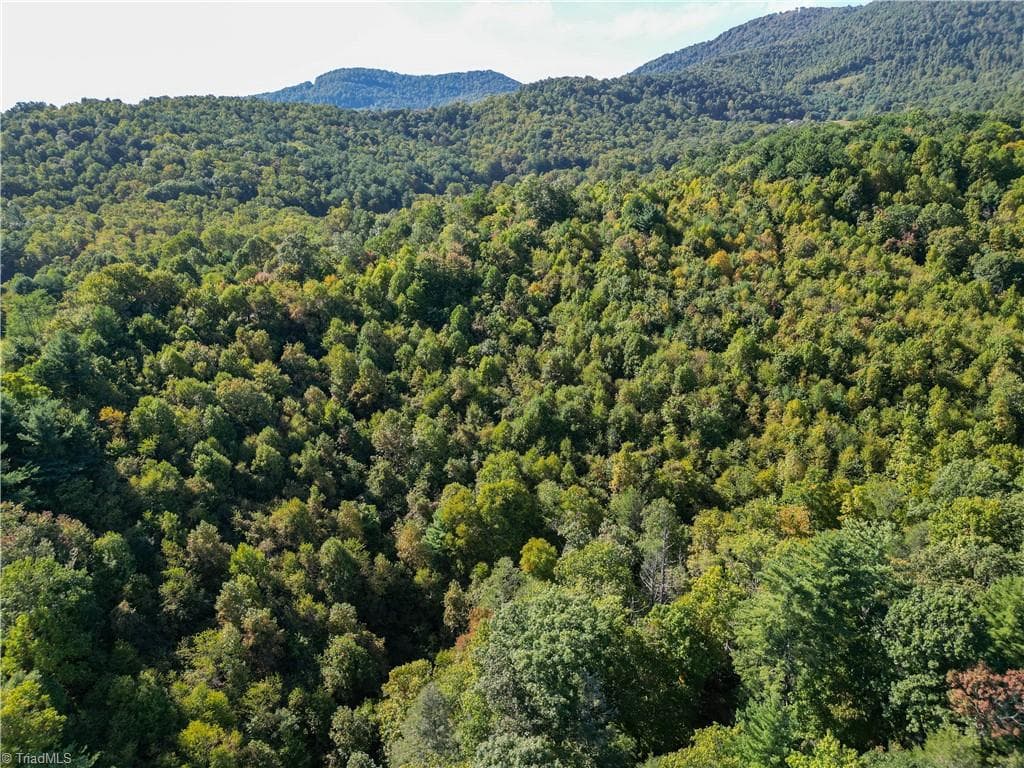 Unimproved Land at 00 Orchard Road, Deep Gap NC 28618, photo 11 of 19