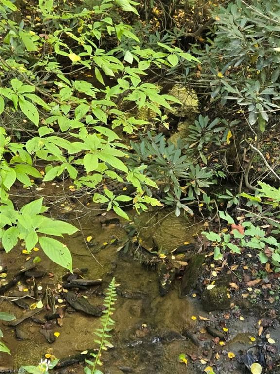Unimproved Land at 00 Orchard Road, Deep Gap NC 28618, photo 4 of 19
