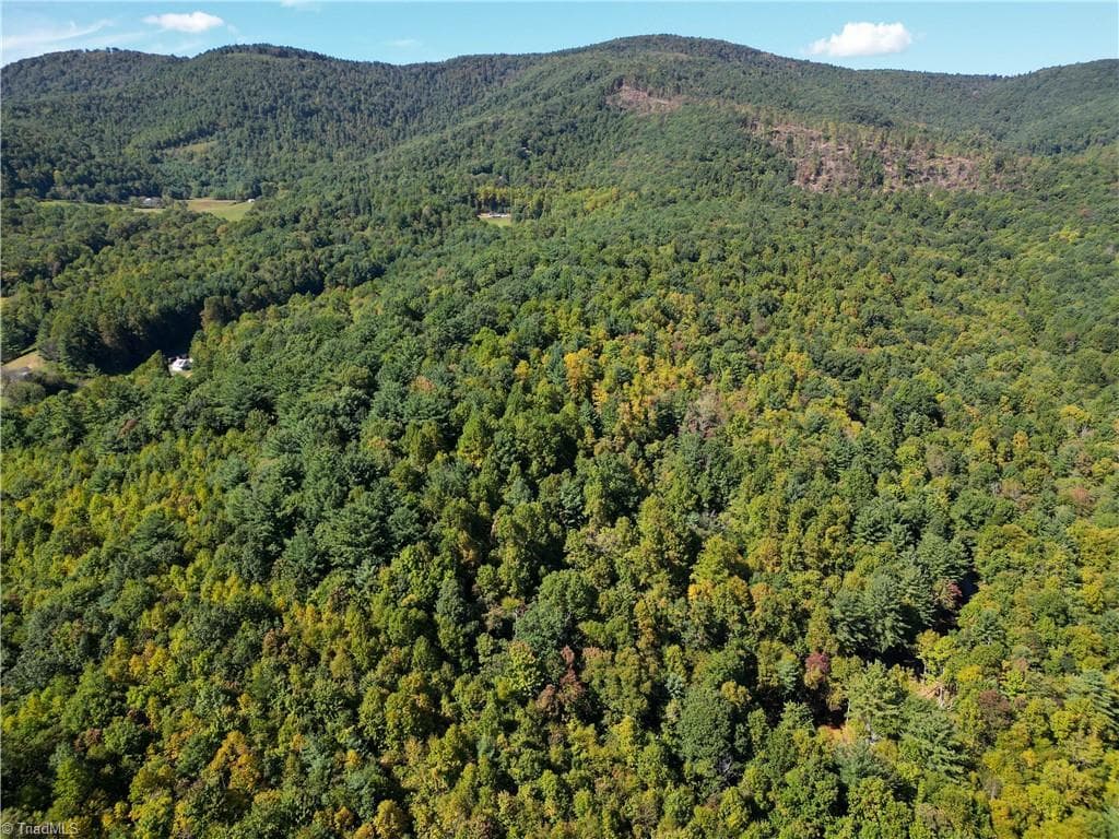 Unimproved Land at 00 Orchard Road, Deep Gap NC 28618, photo 8 of 19