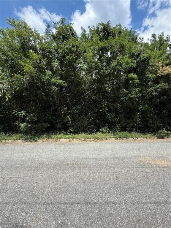 Single Family Residence at 1007 Beaumont Avenue, Greensboro NC 27401, Greensboro, photo 11 of 24