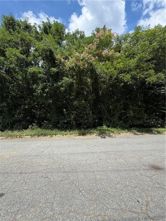 Single Family Residence at 1007 Beaumont Avenue, Greensboro NC 27401, Greensboro, photo 13 of 24