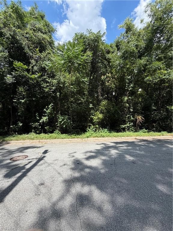 Single Family Residence at 1007 Beaumont Avenue, Greensboro NC 27401, Greensboro, photo 17 of 24