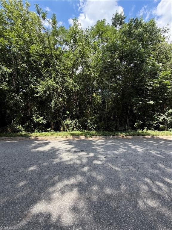 Single Family Residence at 1007 Beaumont Avenue, Greensboro NC 27401, Greensboro, photo 15 of 24