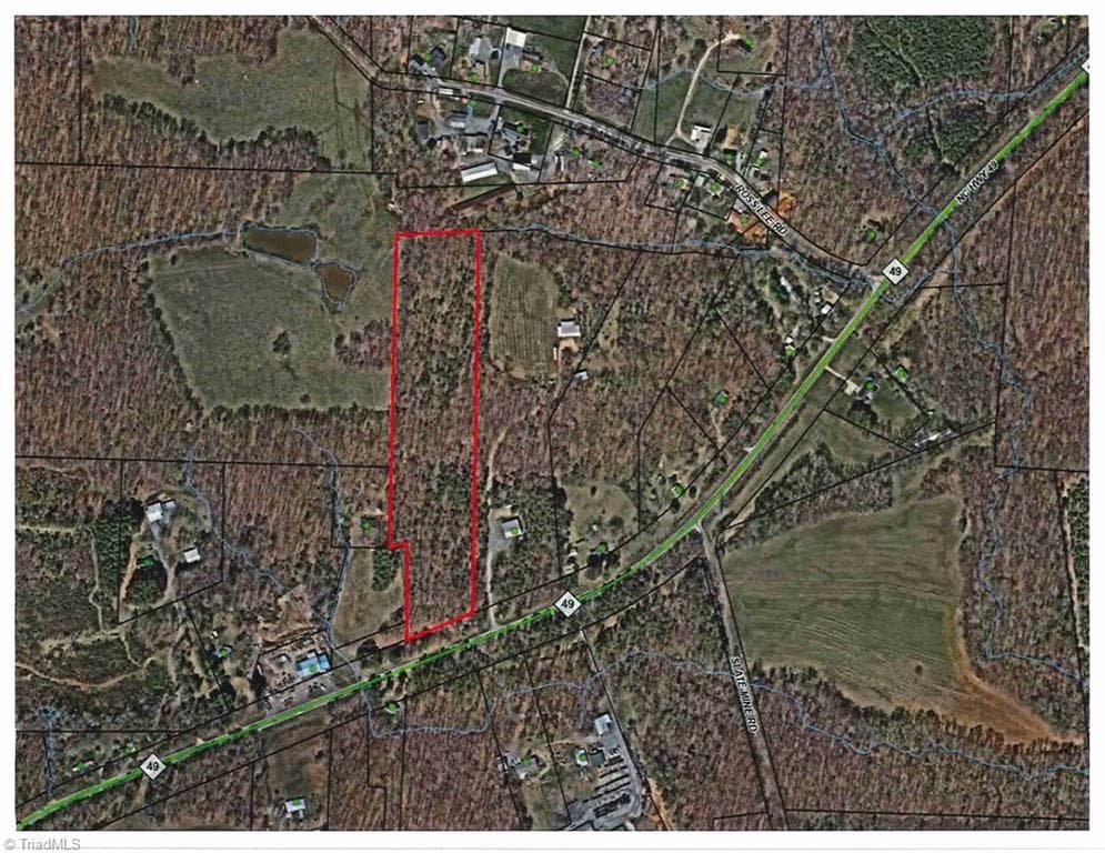 Unimproved Land at 00 NC Highway 49, Denton NC 27239, photo 2 of 21
