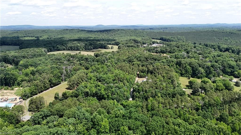 Unimproved Land at 00 NC Highway 49, Denton NC 27239, photo 6 of 21
