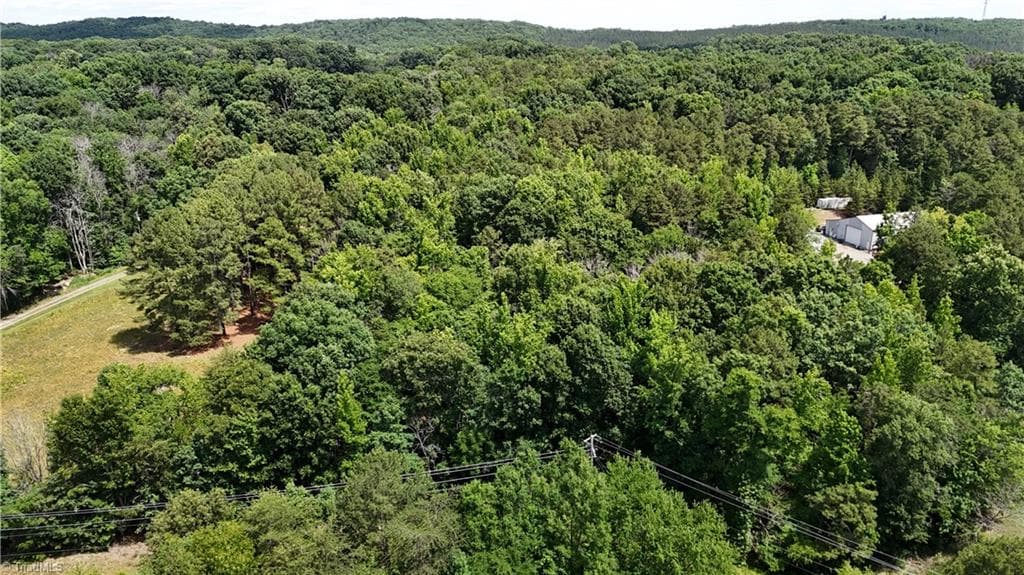 Unimproved Land at 00 NC Highway 49, Denton NC 27239, photo 17 of 21