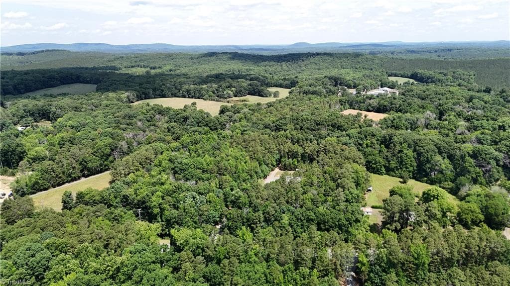 Unimproved Land at 00 NC Highway 49, Denton NC 27239, photo 7 of 21