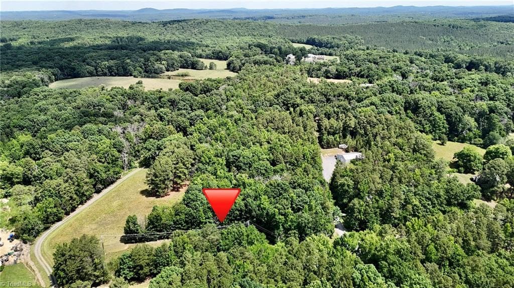 Unimproved Land at 00 NC Highway 49, Denton NC 27239, photo 3 of 21
