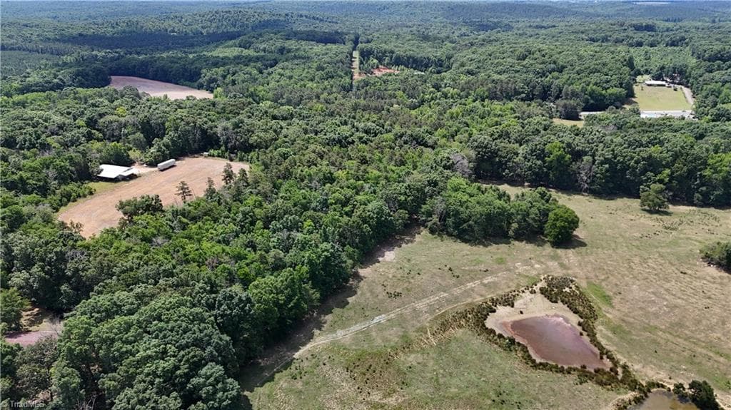 Unimproved Land at 00 NC Highway 49, Denton NC 27239, photo 11 of 21