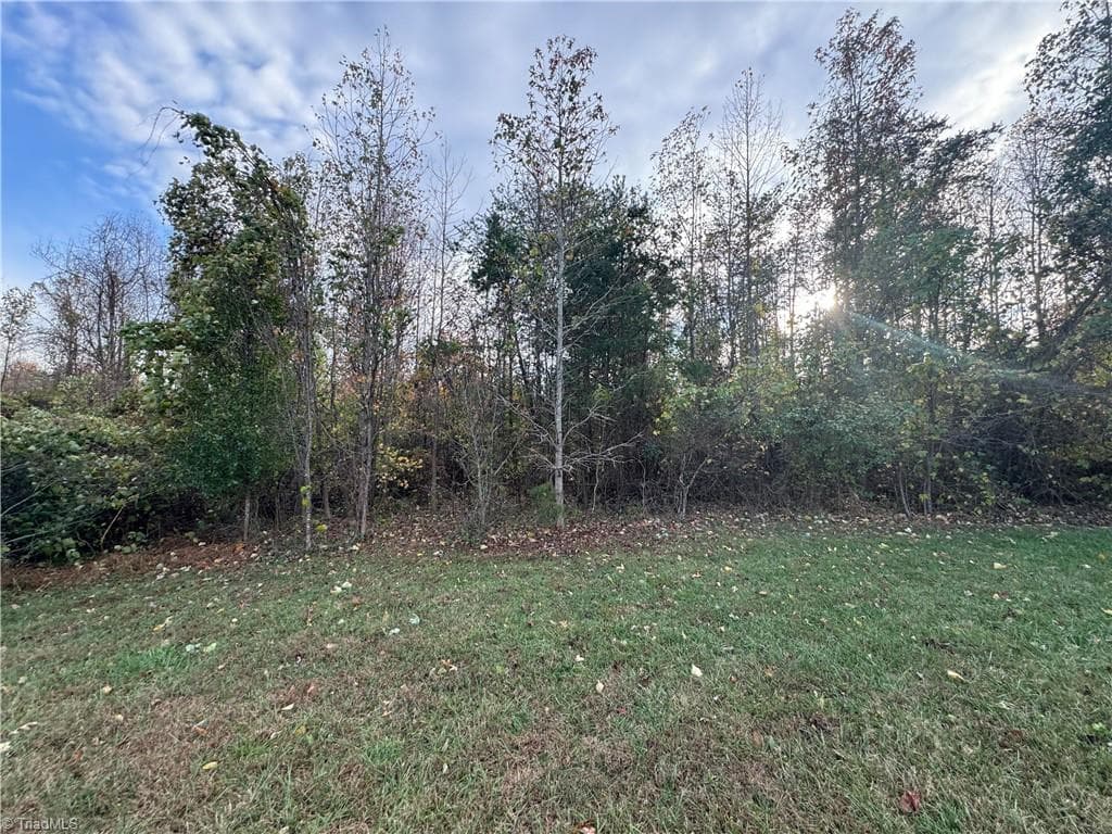 Single Family Residence at 00 NE Market Street # C, Reidsville NC 27320, photo 6 of 7