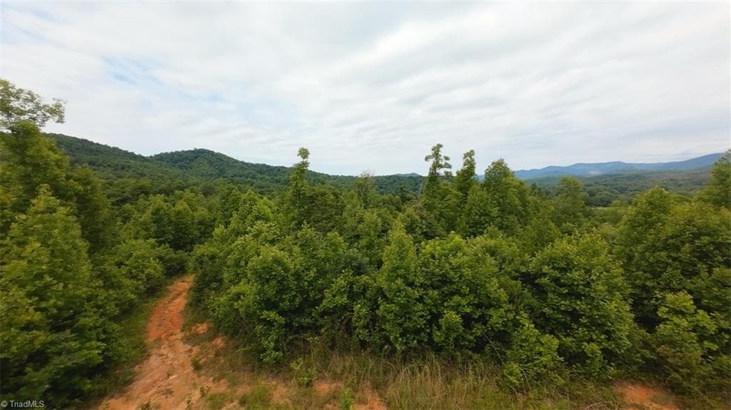 Unimproved Land at 2001 Tom Dula Road, Ferguson NC 28624, photo 17 of 25