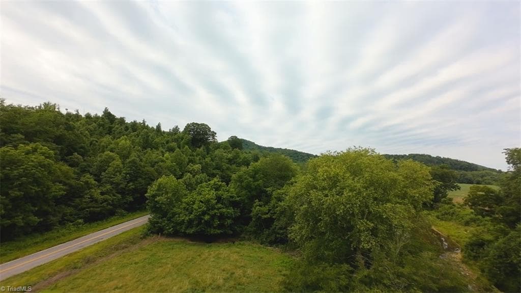 Unimproved Land at 2001 Tom Dula Road, Ferguson NC 28624, photo 10 of 25