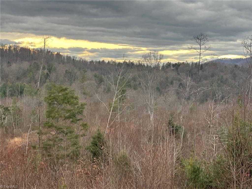 Unimproved Land at 2001 Tom Dula Road, Ferguson NC 28624, photo 14 of 25