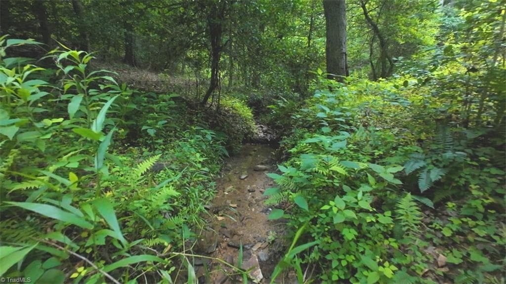 Unimproved Land at 2001 Tom Dula Road, Ferguson NC 28624, photo 18 of 25