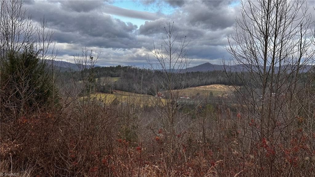 Unimproved Land at 2001 Tom Dula Road, Ferguson NC 28624, photo 15 of 25