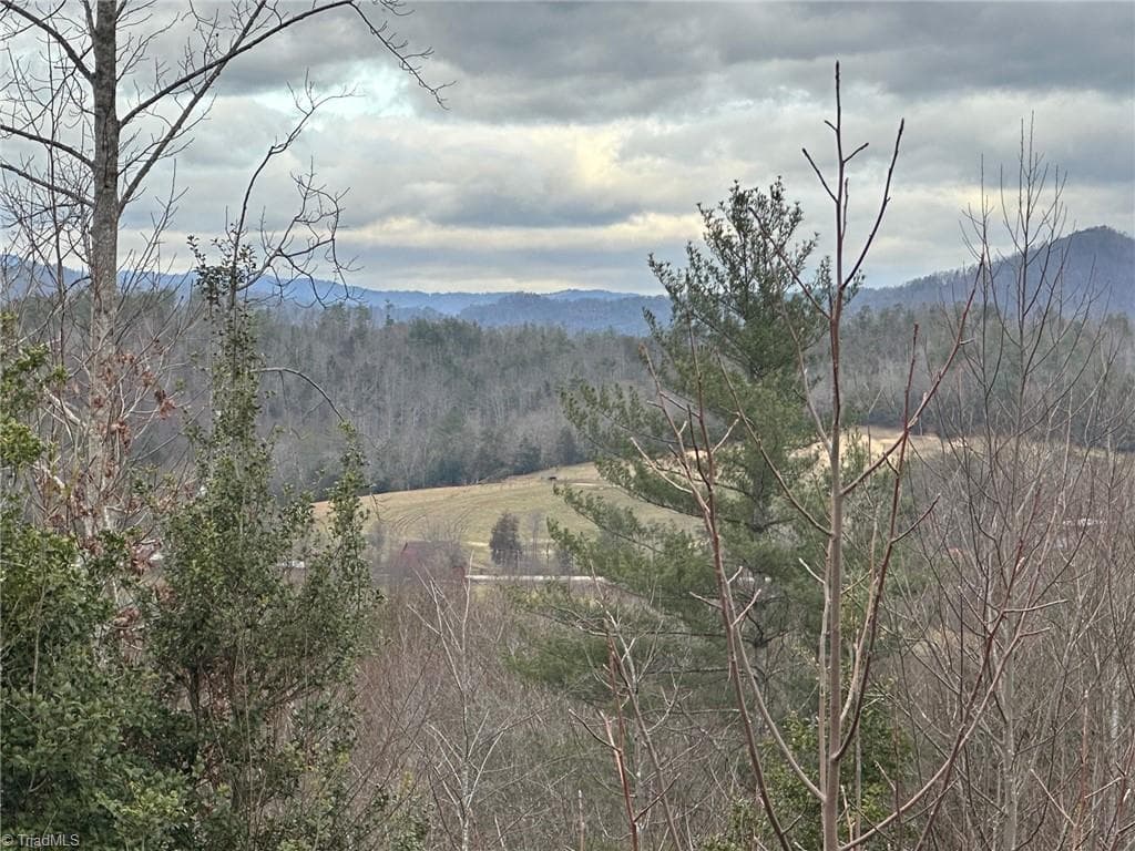 Unimproved Land at 2001 Tom Dula Road, Ferguson NC 28624, photo 25 of 25