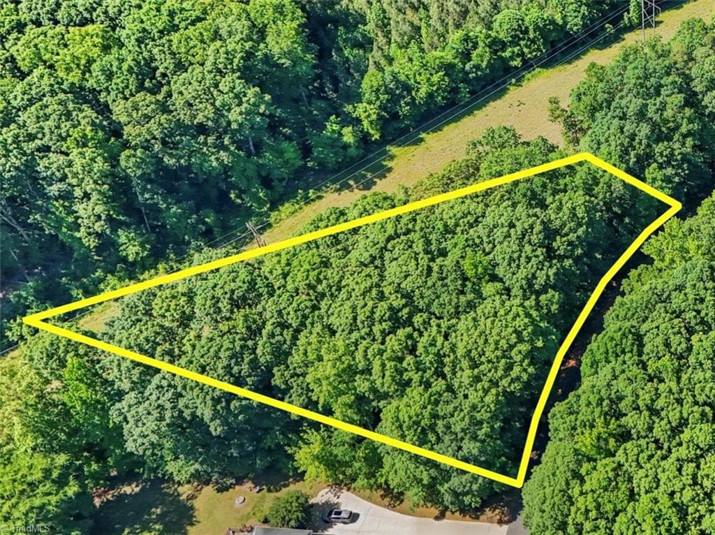 Unimproved Land at 0 Pine Forest Drive S, Siler City NC 27344, photo 2 of 14