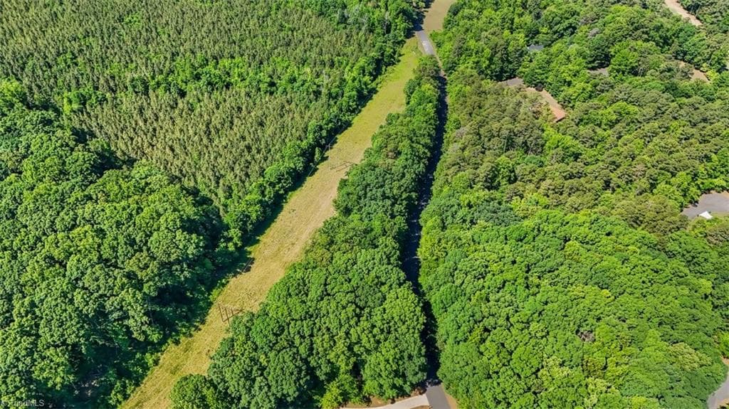 Unimproved Land at 0 Pine Forest Drive S, Siler City NC 27344, photo 6 of 14