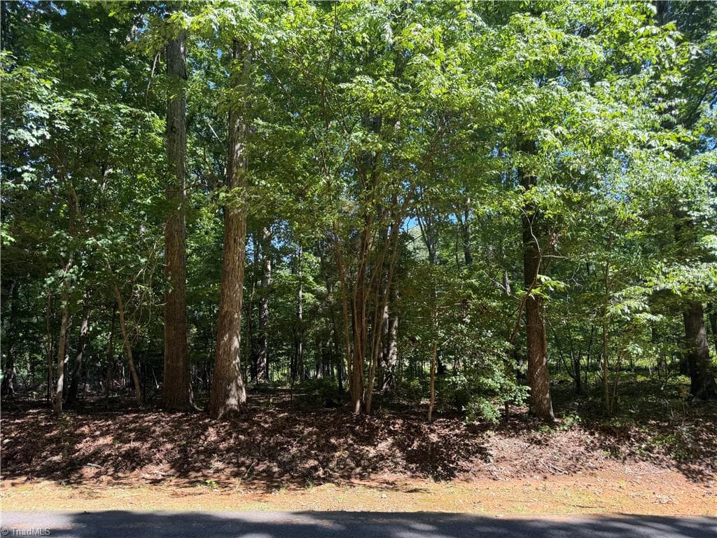 Unimproved Land at 0 Pine Forest Drive S, Siler City NC 27344, photo 7 of 14