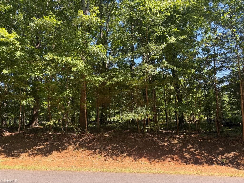 Unimproved Land at 0 Pine Forest Drive S, Siler City NC 27344, photo 3 of 14